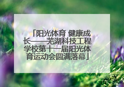 阳光体育 健康成长——芜湖科技工程学校第十一届阳光体育运动会圆满落幕
