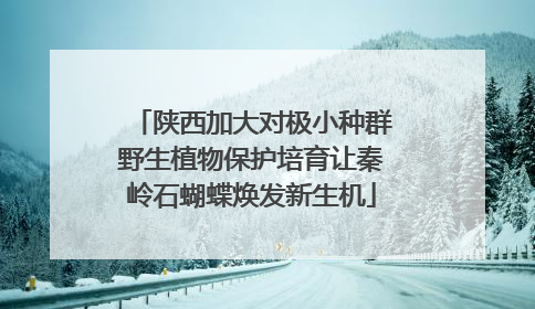 陕西加大对极小种群野生植物保护培育让秦岭石蝴蝶焕发新生机