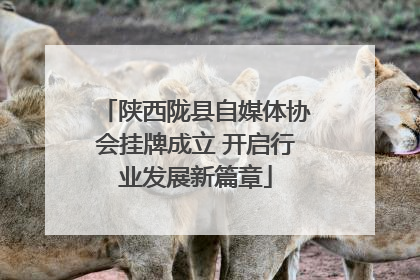 陕西陇县自媒体协会挂牌成立 开启行业发展新篇章