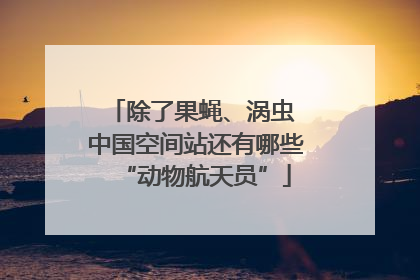 除了果蝇、涡虫 中国空间站还有哪些“动物航天员”
