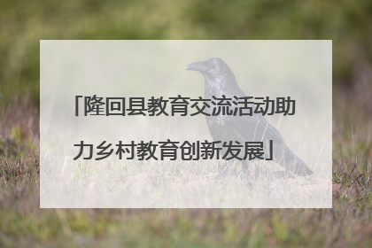 隆回县教育交流活动助力乡村教育创新发展