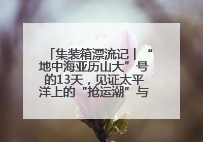 集装箱漂流记丨“地中海亚历山大”号的13天，见证太平洋上的“抢运潮”与“过剩潮”
