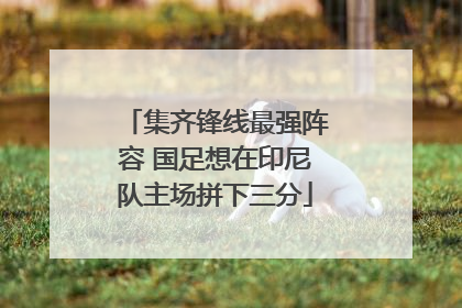 集齐锋线最强阵容 国足想在印尼队主场拼下三分