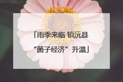 雨季来临 镇沅县“菌子经济”升温
