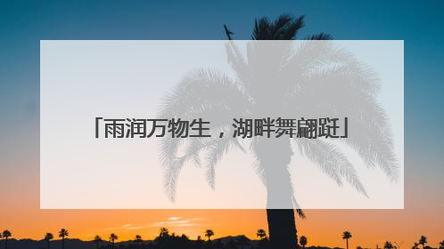 雨润万物生，湖畔舞翩跹