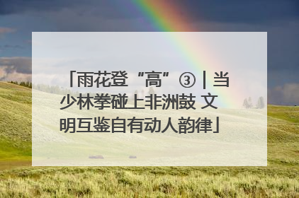 雨花登“高”③｜当少林拳碰上非洲鼓 文明互鉴自有动人韵律