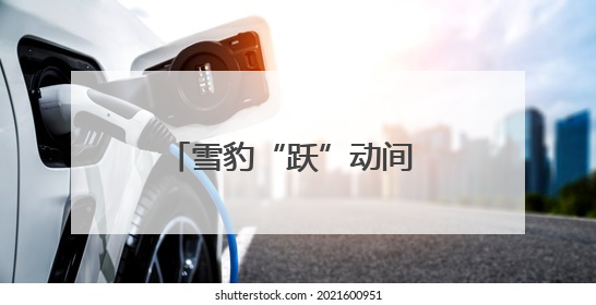 雪豹“跃”动间 法典润民心——2025年青海省民法典宣传月（西宁地区）主场活动见闻