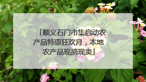 顺义石门市集启动农产品特惠狂欢月，本地农产品现摘现卖