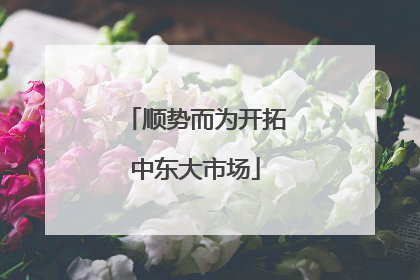 顺势而为开拓中东大市场