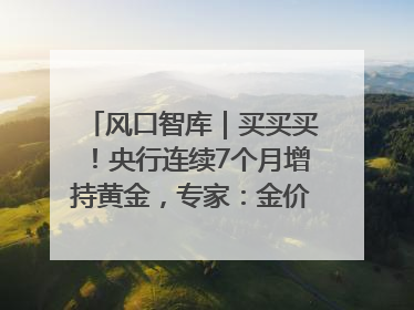 风口智库｜买买买！央行连续7个月增持黄金，专家：金价或仍易涨难跌