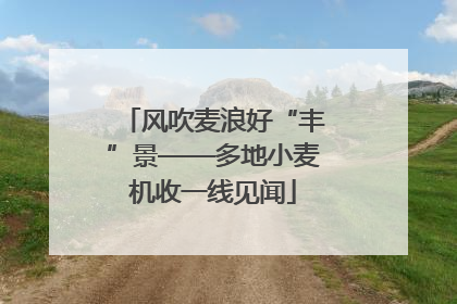风吹麦浪好“丰”景——多地小麦机收一线见闻
