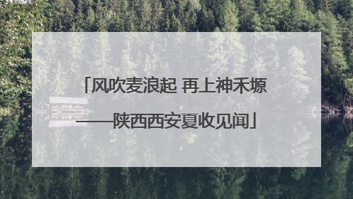 风吹麦浪起 再上神禾塬——陕西西安夏收见闻