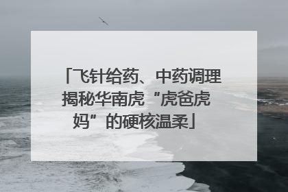 飞针给药、中药调理 揭秘华南虎“虎爸虎妈”的硬核温柔