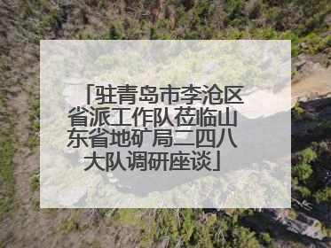 驻青岛市李沧区省派工作队莅临山东省地矿局二四八大队调研座谈