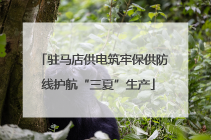 驻马店供电筑牢保供防线护航“三夏”生产