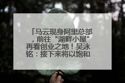 马云现身阿里总部，前往“湖畔小屋”再看创业之地！吴泳铭：接下来将以饱和式投入的打法，聚焦于几大核心战役