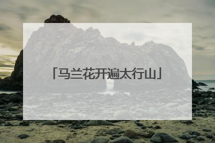 马兰花开遍太行山