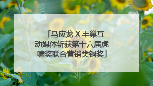 马应龙 X 丰巢互动媒体斩获第十六届虎啸奖联合营销类铜奖