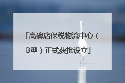 高碑店保税物流中心（B型）正式获批设立