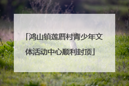 鸿山镇莲厝村青少年文体活动中心顺利封顶