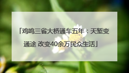 鸡鸣三省大桥通车五年：天堑变通途 改变40余万民众生活