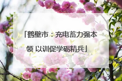 鹤壁市：充电蓄力强本领 以训促学砺精兵