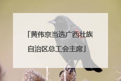 黄伟京当选广西壮族自治区总工会主席