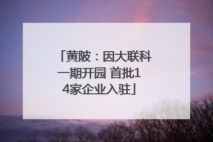 黄陂：因大联科一期开园 首批14家企业入驻