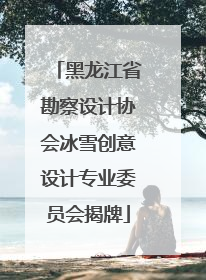 黑龙江省勘察设计协会冰雪创意设计专业委员会揭牌