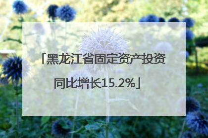 黑龙江省固定资产投资同比增长15.2%