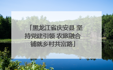 黑龙江省庆安县 坚持党建引领 农旅融合铺就乡村共富路