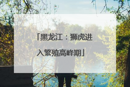 黑龙江：狮虎进入繁殖高峰期
