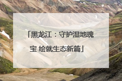 黑龙江：守护湿地瑰宝 绘就生态新篇