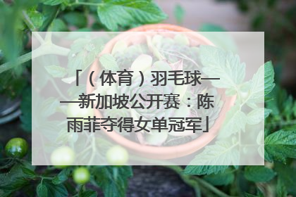 （体育）羽毛球——新加坡公开赛：陈雨菲夺得女单冠军