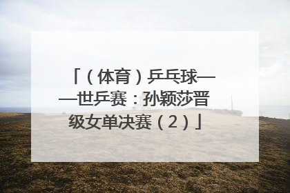（体育）乒乓球——世乒赛：孙颖莎晋级女单决赛（2）