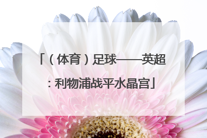 （体育）足球——英超：利物浦战平水晶宫