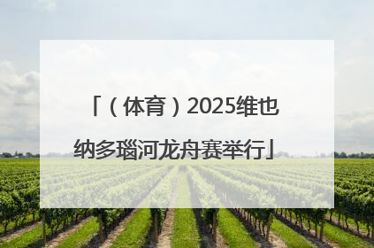 （体育）2025维也纳多瑙河龙舟赛举行