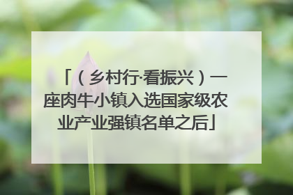 （乡村行·看振兴）一座肉牛小镇入选国家级农业产业强镇名单之后