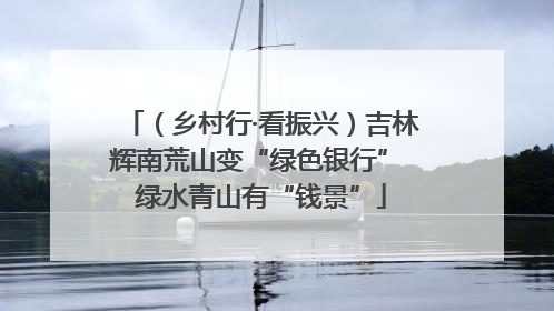 （乡村行·看振兴）吉林辉南荒山变“绿色银行” 绿水青山有“钱景”