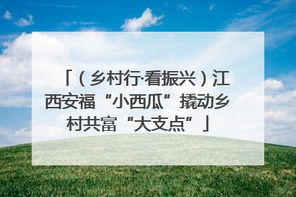 （乡村行·看振兴）江西安福“小西瓜”撬动乡村共富“大支点”