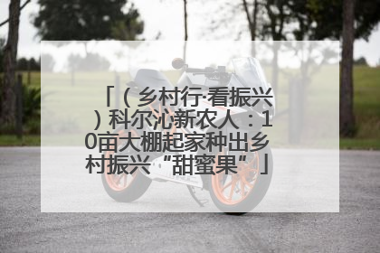 （乡村行·看振兴）科尔沁新农人：10亩大棚起家种出乡村振兴“甜蜜果”