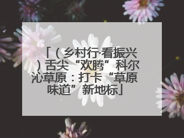 （乡村行·看振兴）舌尖“欢腾”科尔沁草原：打卡“草原味道”新地标