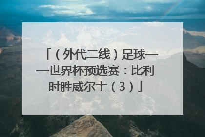 （外代二线）足球——世界杯预选赛：比利时胜威尔士（3）