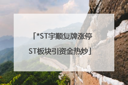 *ST宇顺复牌涨停 ST板块引资金热炒