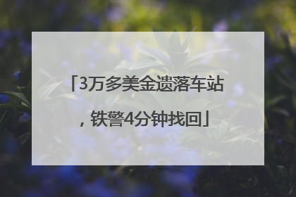 3万多美金遗落车站，铁警4分钟找回