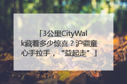 3公里CityWalk藏着多少惊喜？沪疆童心手拉手，“益起走”