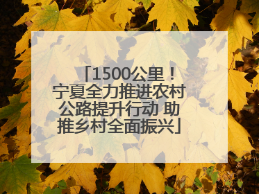1500公里！宁夏全力推进农村公路提升行动 助推乡村全面振兴