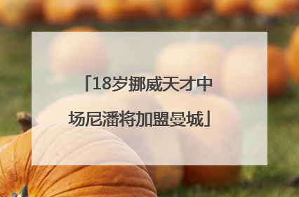 18岁挪威天才中场尼潘将加盟曼城