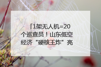 1架无人机=20个巡查员！山东低空经济“硬核王炸”亮相青岛，下一个万亿赛道藏在这里