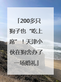 200多只狗子也“吃上席”！天津小伙在狗舍办了一场婚礼